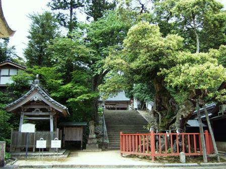 山王宮日吉神社