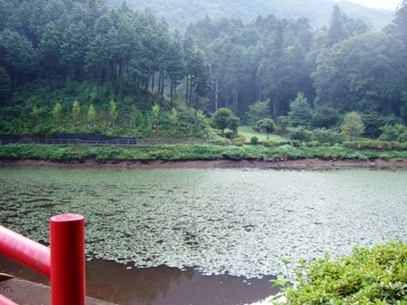安寿姫塚の池