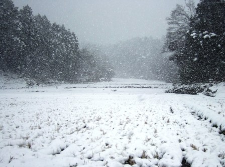 弥栄町の雪野