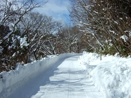 世屋高原への雪道