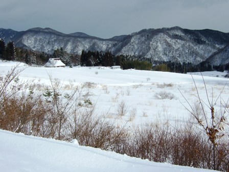 木子集落の雪原